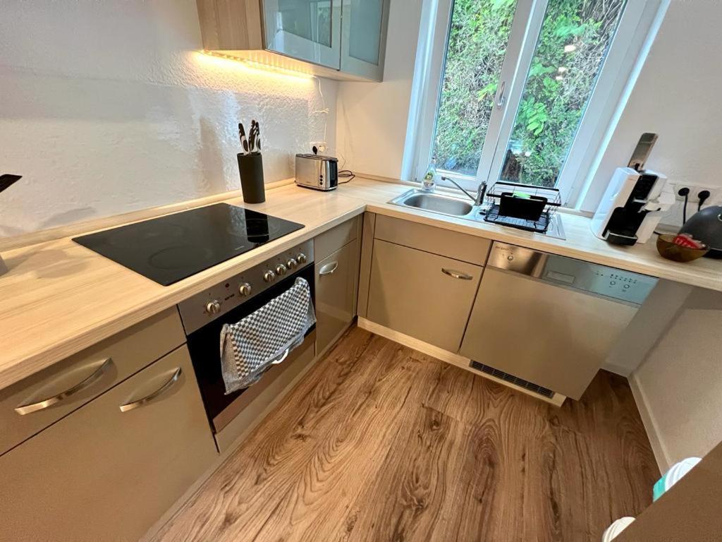 Exklusive Neubauwohnung Mit Wundervoller Aussicht Naehe Europapark Und Rulantica Burgheim 外观 照片